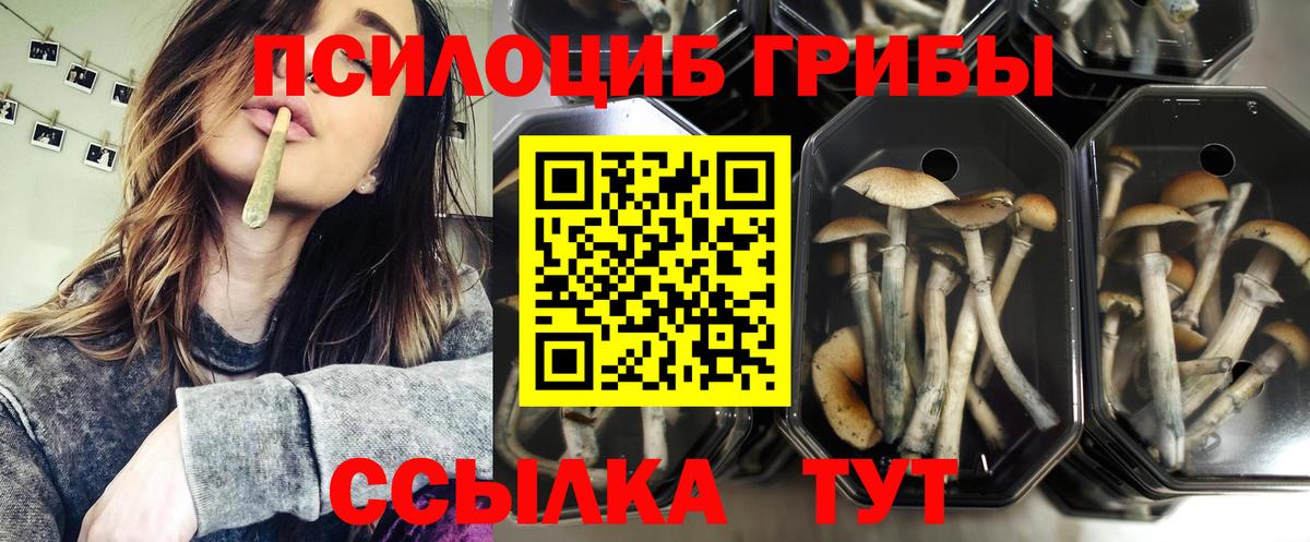 Псилоцибиновые грибы Magic Shrooms  Вход с VPN  Губкин 